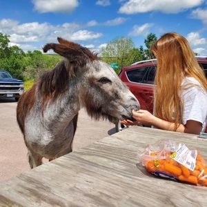 Meet your Posher, Mikayla